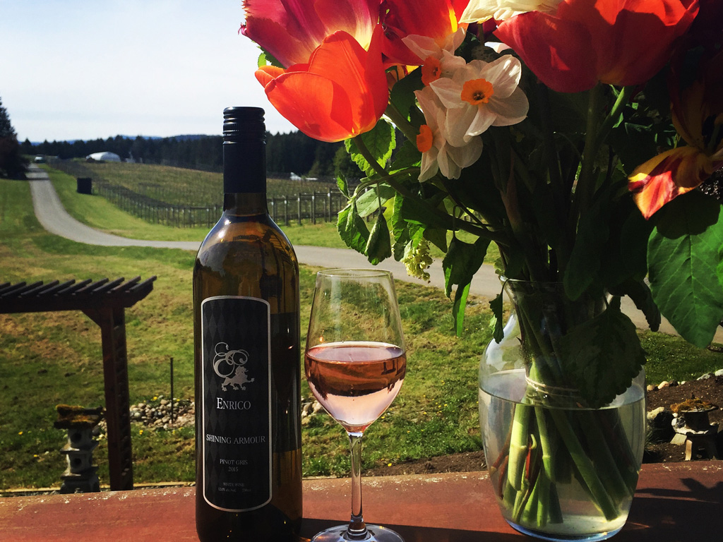 Spend the day with the girl's wine tasting in the valley. Credit: Island Time Tours
