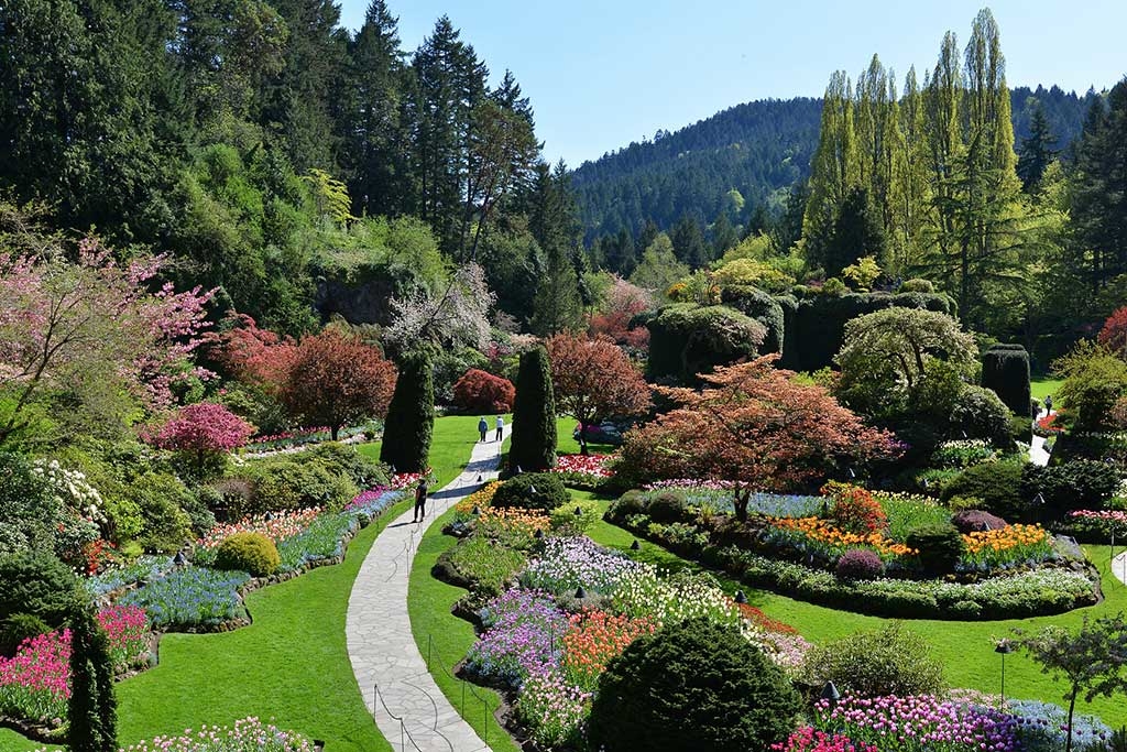 Stunning scene at The Butchart Gardens in Victoria