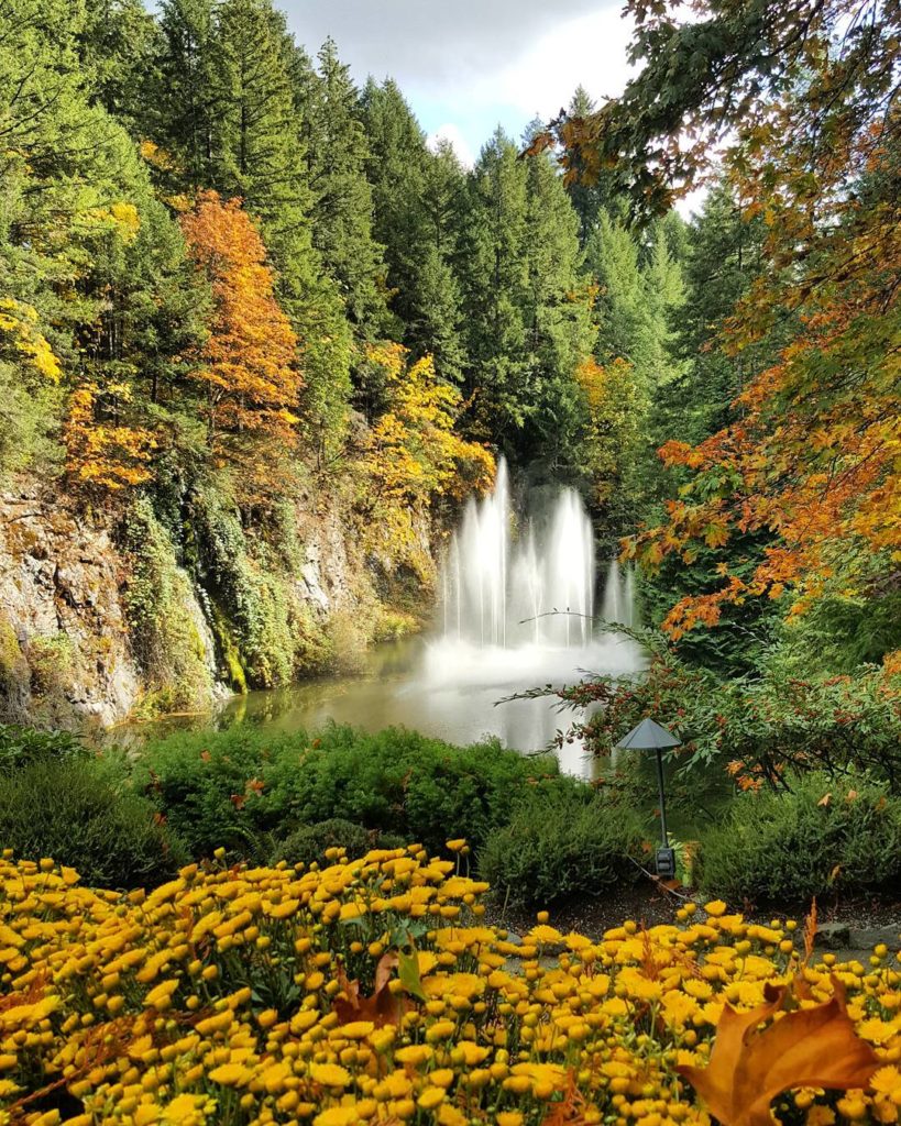 Find yourself in a fall fairytale with the Butchart Gardens. Credit: @sarira_ronaghi_photography