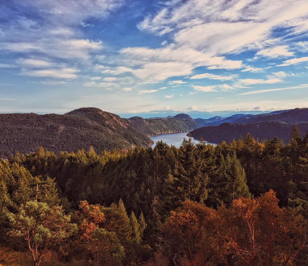 Sip while surrounded by stunning scenery at one of the wineries in Cowichan Valley. Credit: @half.knight