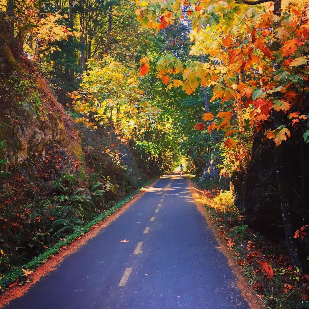 Pedal through endless fall foliage at Galloping Goose Trail. Credit: @k888caldwell