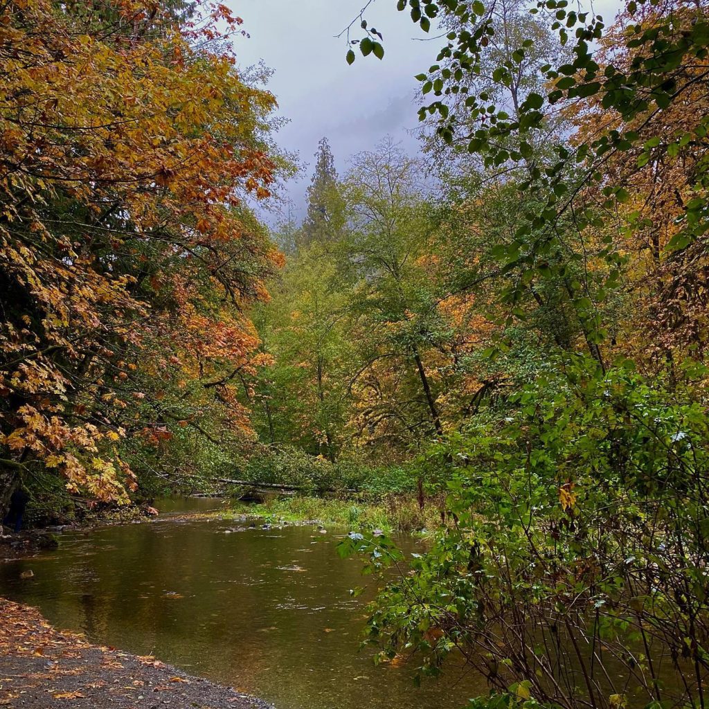 Find peace and tranquility with the sound of the water and colors of autumn. Photo Credit: @memoriesdoor_photography