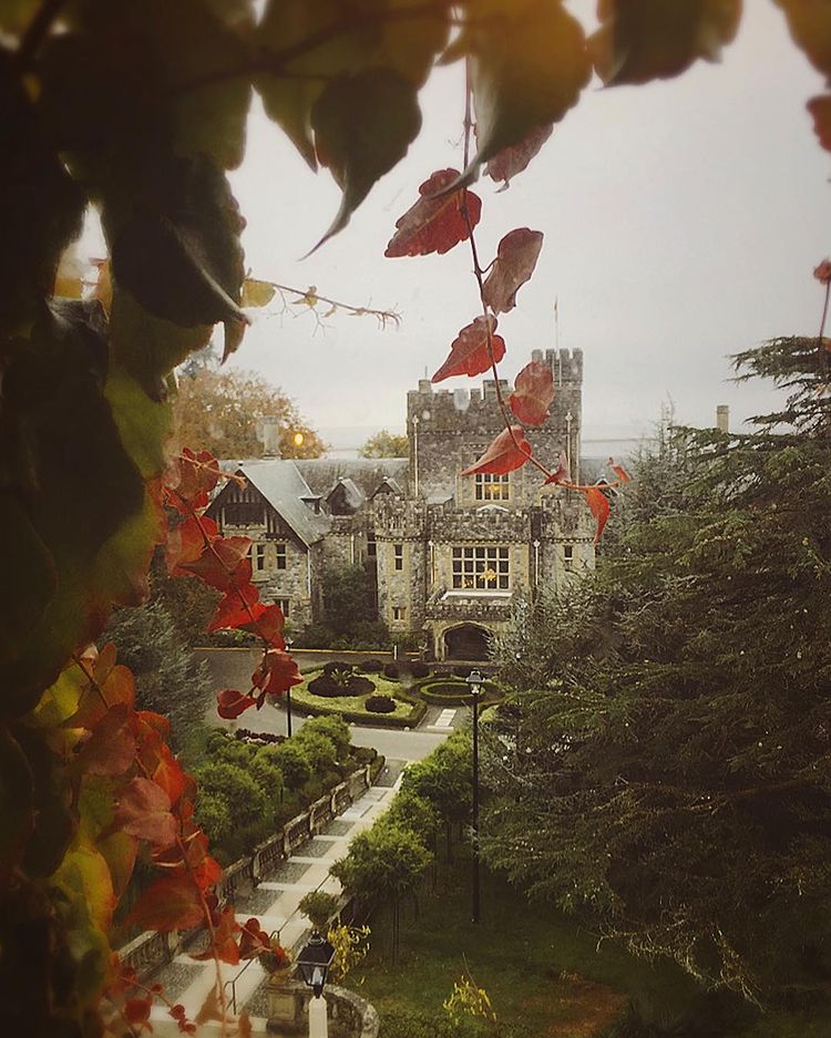 Hues of orange and fog make a trip to Hatley Castle the perfect Halloweentown inspired trip. Credit: @emcdesignstudio