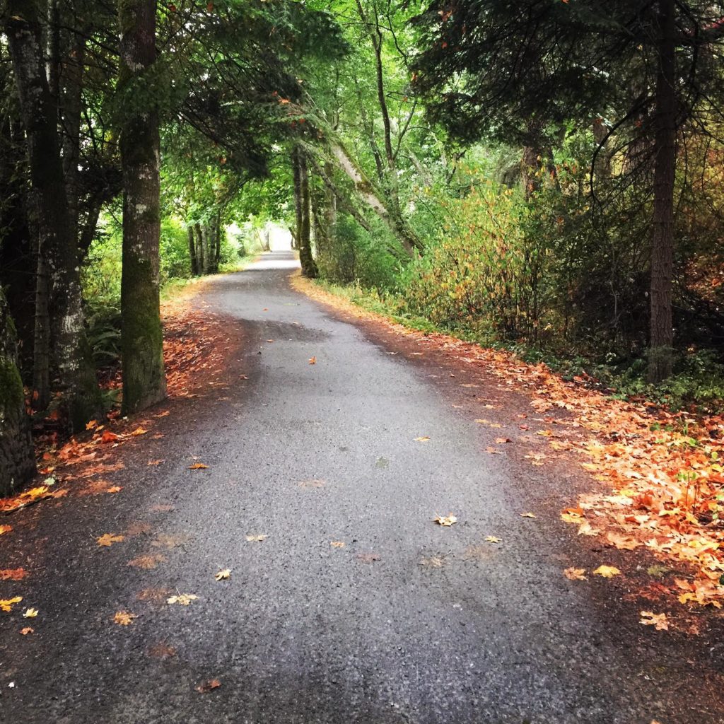 Leisurely stroll through Lochside trail. Credit: @julia_mcm_