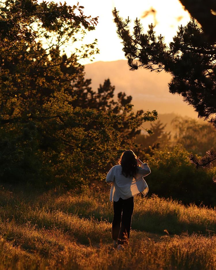 Capture the perfect shot at Beacon Hill. Credit: @k.doh