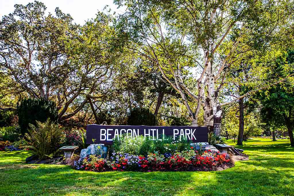 Boasting a variety of vibrant plants and an amazing assortment of wildlife, Beacon Hill Park is breathtaking come spring. Credit: Destination Greater Victoria