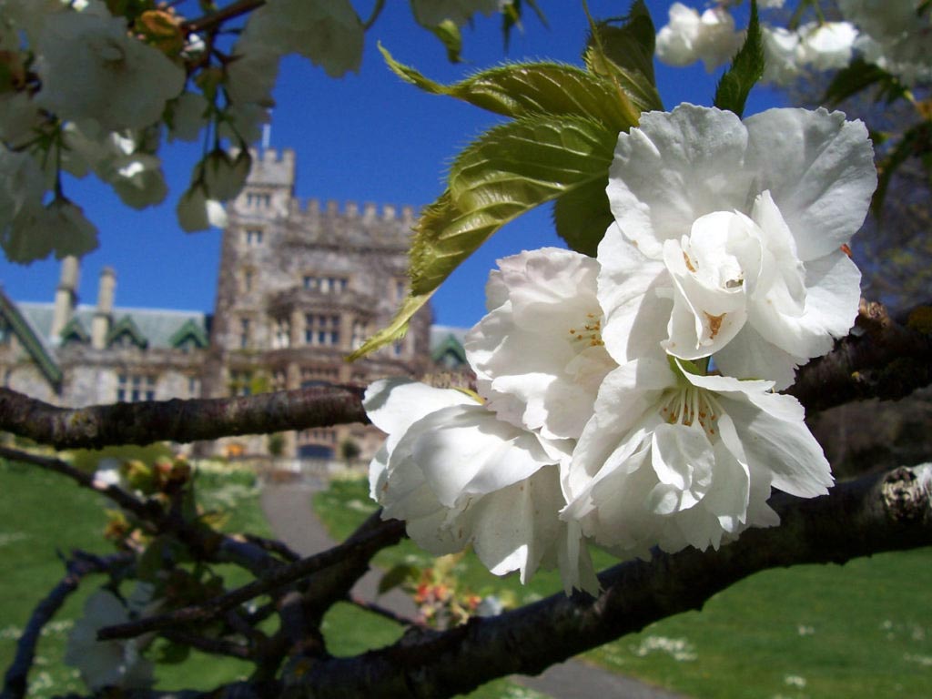 The vast and exquisite Hatley Gardens are filled with hundreds of unique flowers and plants from all corners of the world. Credit: Destination Greater Victoria