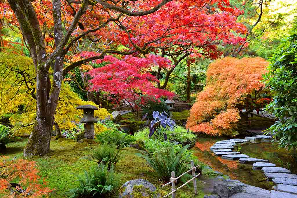 One of the best ways to travel to Victoria for savings is to visit during the off season