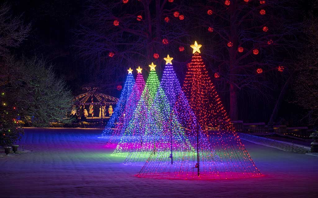 Gaze over stunning displays of vibrant colors. Credit: The Butchart Gardens