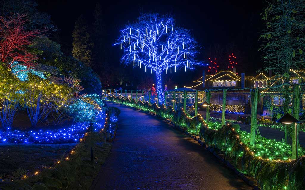 Stroll through the illuminated walkways. Credit: The Butchart Gardens