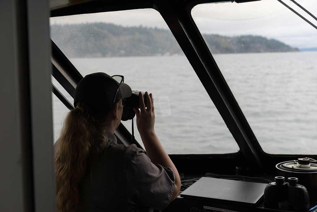 A whale watching tour is one of the top rainy things to do in Seattle, thanks to the vessel's heated indoor cabin.