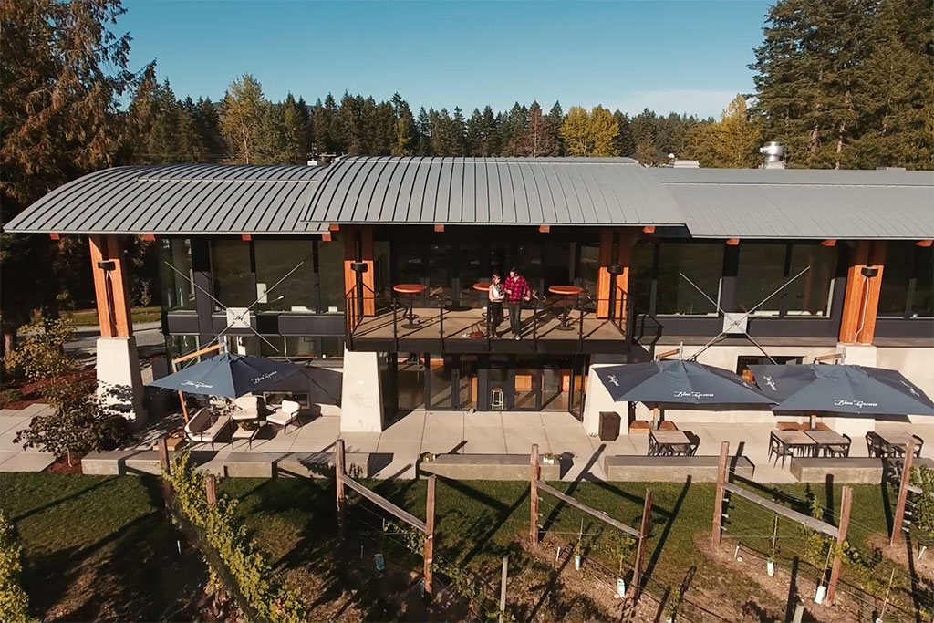 Soak in stunning vineyard views from Blue grouse Estate Winery & Vineyard.