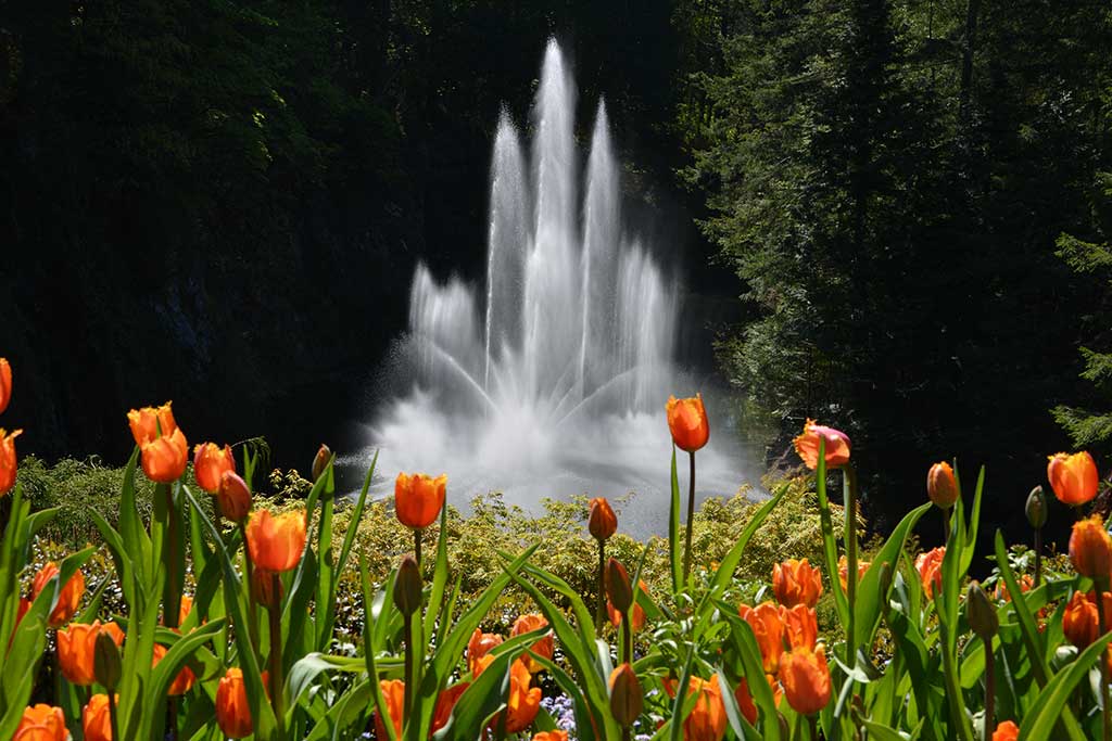 A rotating collection of blooms make Ross Fountain stunning any time of year. Credit: The Butchart Gardens