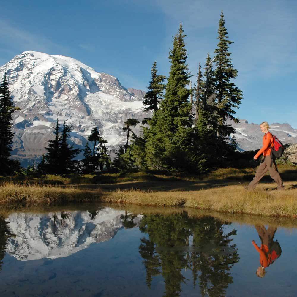 Mt. Rainier Tour