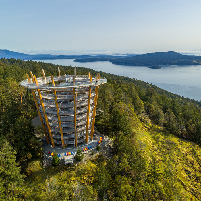 Seattle To Victoria Overnight With Malahat Skywalk Tour